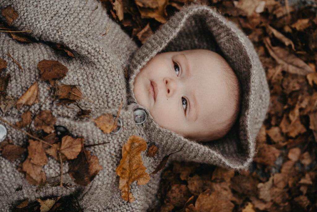 fotografering af nyfødt baby der ligger i efterårets blade